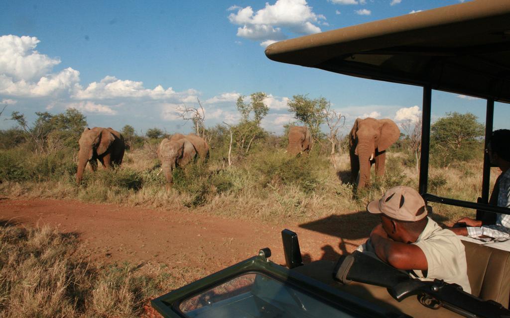 Etali Safari Lodge Madikwe Game Reserve Exterior foto