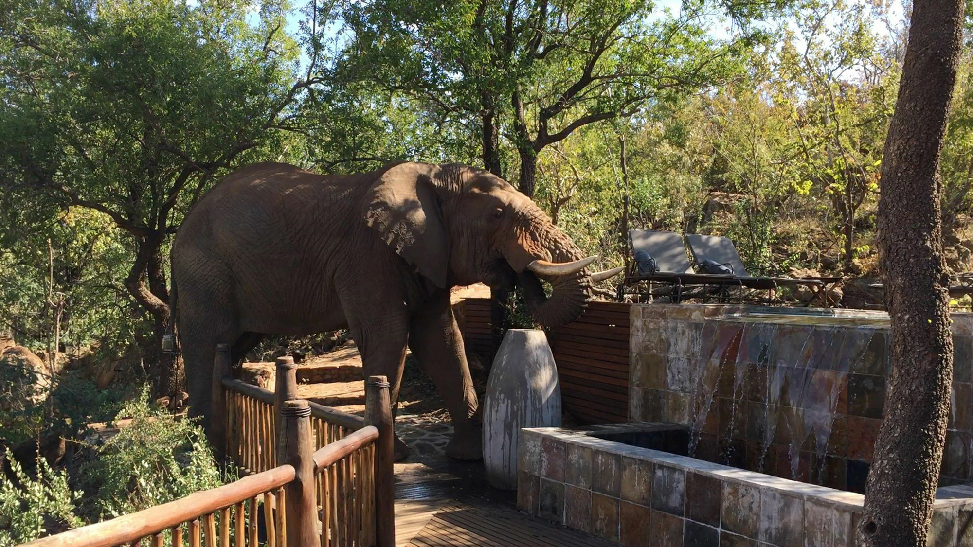 Etali Safari Lodge Madikwe Game Reserve Exterior foto